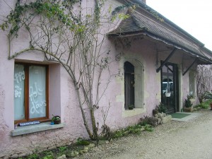 New Hamlet's Pink Buddha Hall