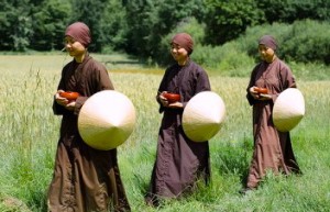 nuns formal lunch