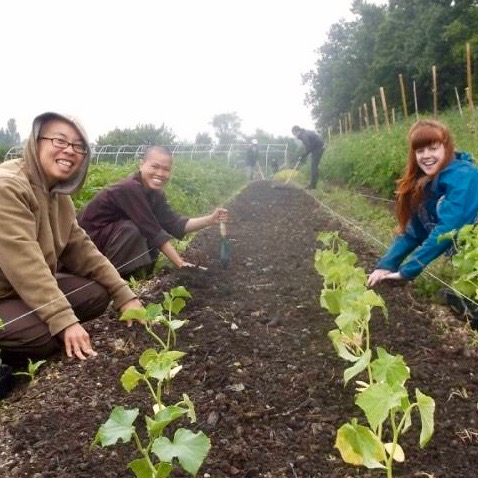 sisters-hands-earth-happy-farm (1)