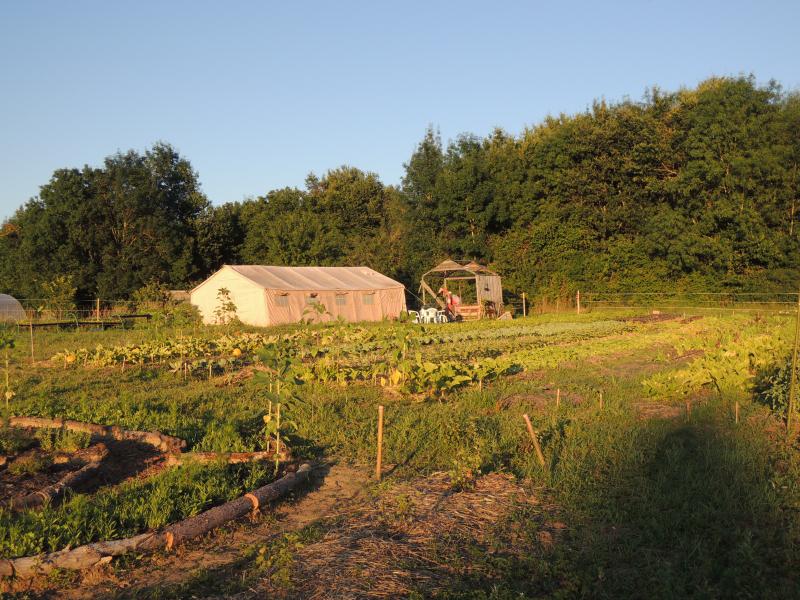 LH happy farm 2
