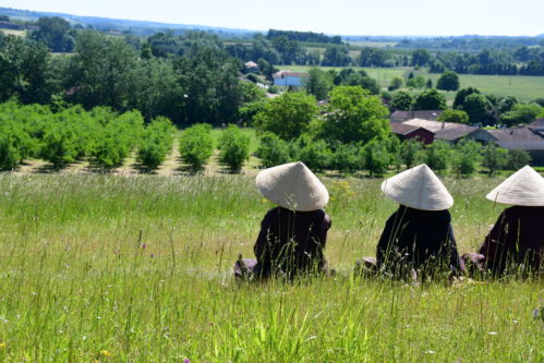 Se laisser nourrir par Mère Nature au Village des Pruniers