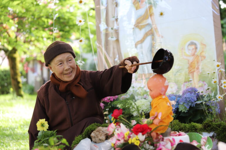 Vesak 2024 : Célébration au Village des Pruniers en France